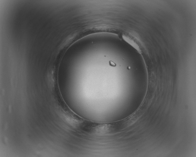 X0000074260116200608251236