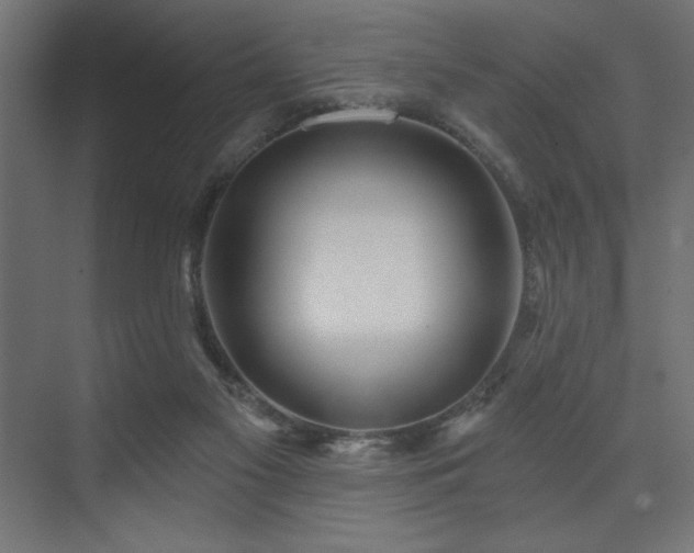 X0000074260117200608251236