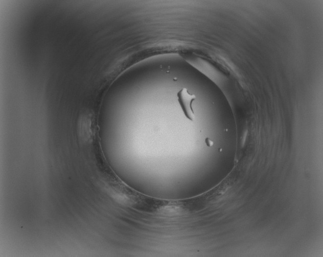 X0000074260119200608251236