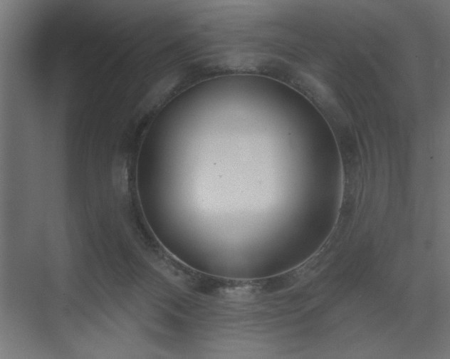 X0000074260120200608251236