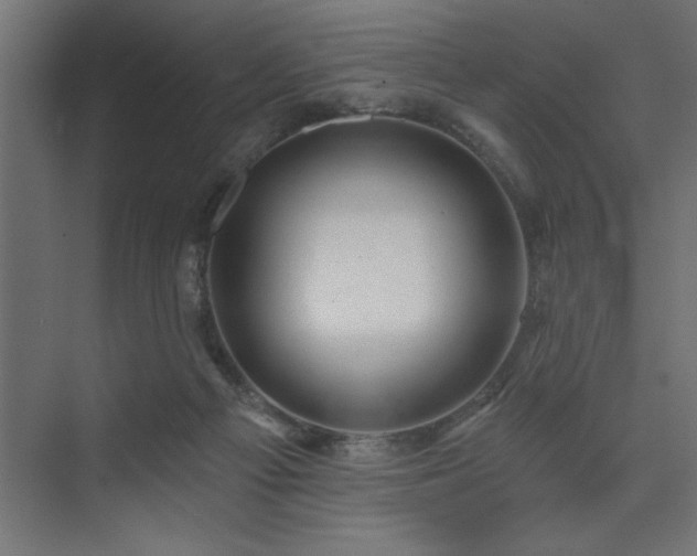 X0000074260121200608251236