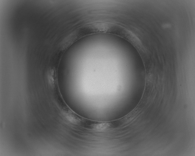 X0000074260122200608251236