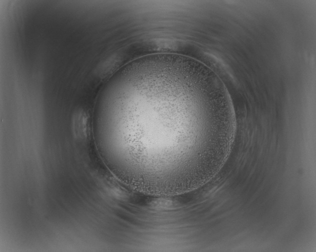 X0000074260123200608251236