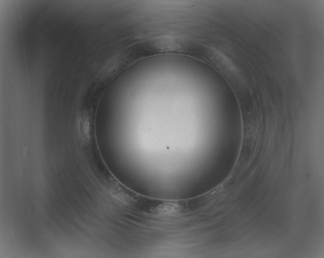 X0000074260124200608251236