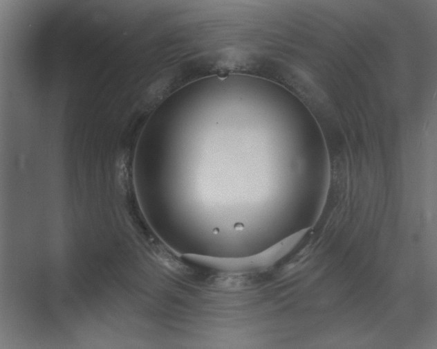 X0000074260127200608251236