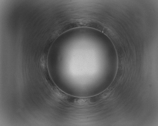 X0000074260129200608251236