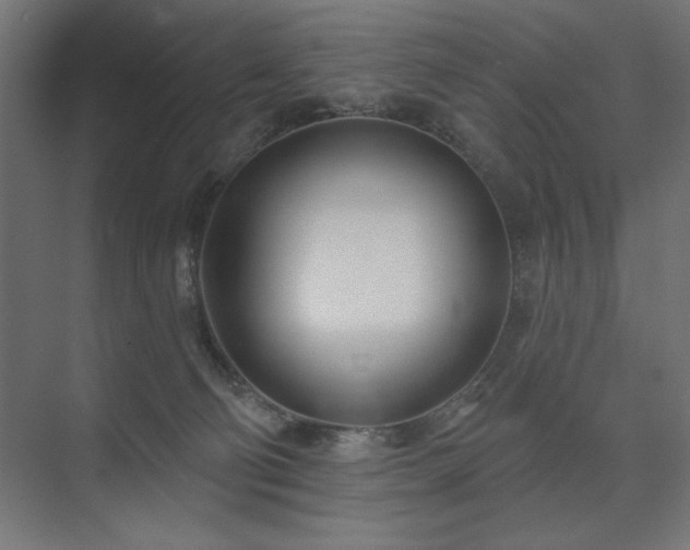 X0000074260130200608251236