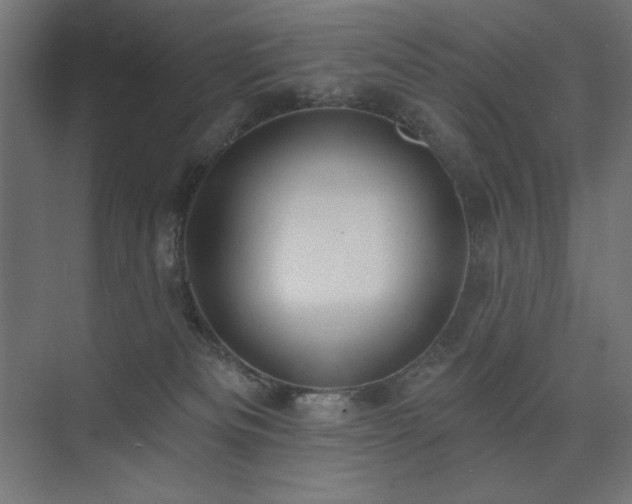 X0000074260133200608251236