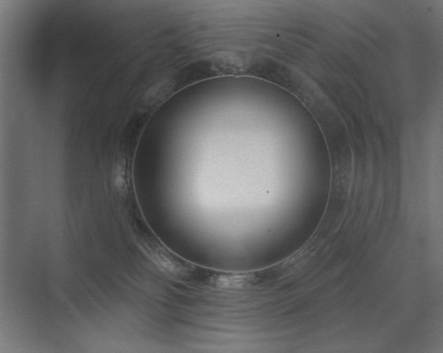 X0000074260134200608251236