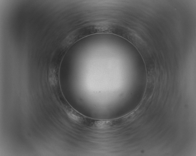 X0000074260136200608251236