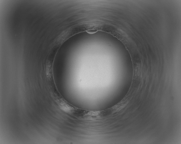 X0000074260138200608251236