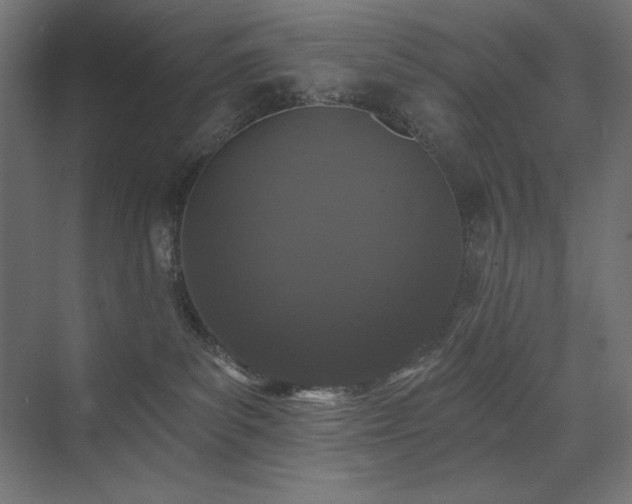 X0000074260139200608251236