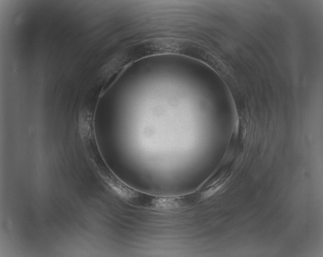 X0000074260141200608251236