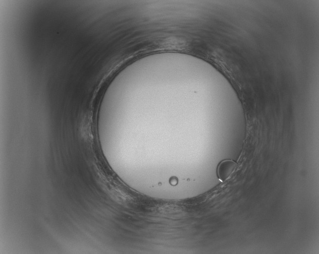 X0000074260146200608251235