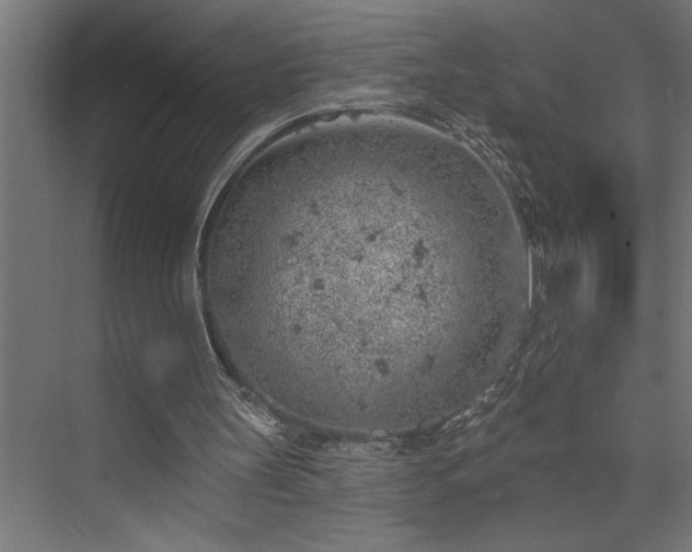 X0000074260147200608251235