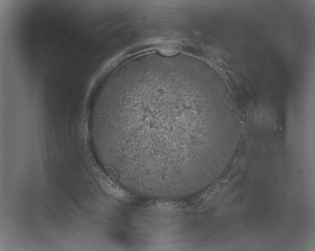 X0000074260149200608251235