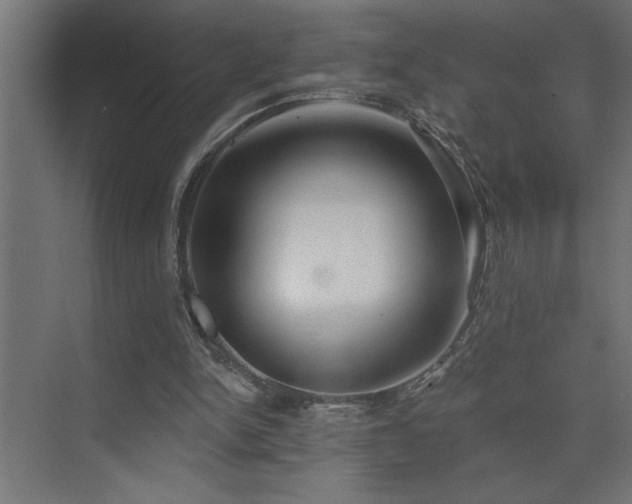 X0000074260150200608251235