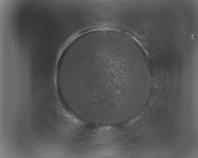 X0000074260152200608251235