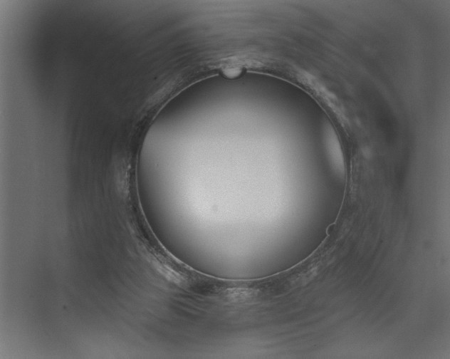 X0000074260153200608251235