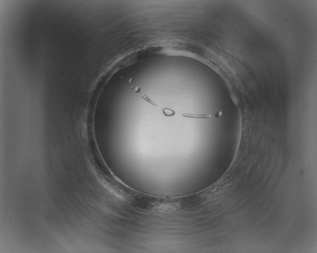 X0000074260155200608251235