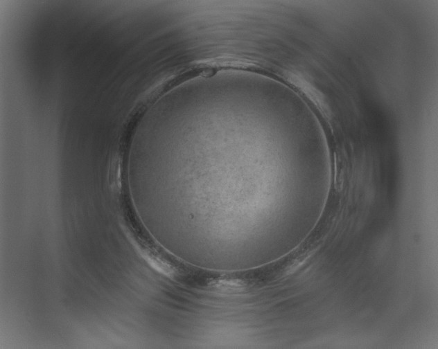 X0000074260157200608251235