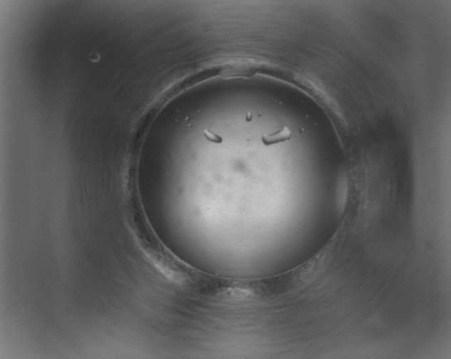 X0000074260159200608251235