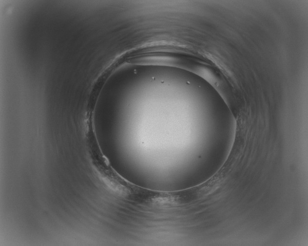 X0000074260160200608251235