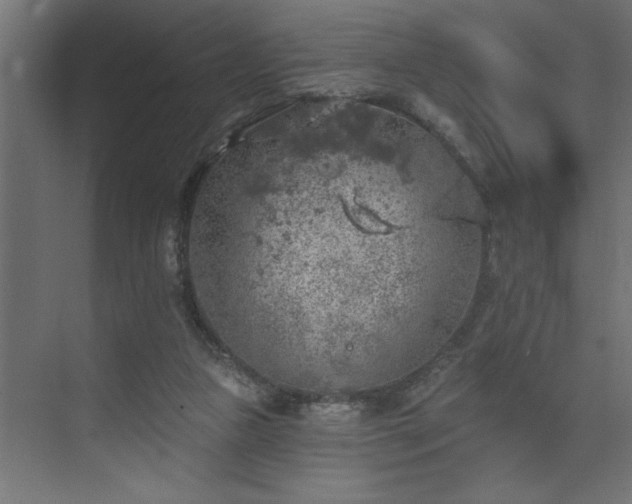 X0000074260161200608251235