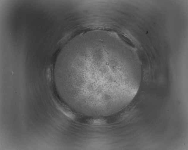 X0000074260165200608251235