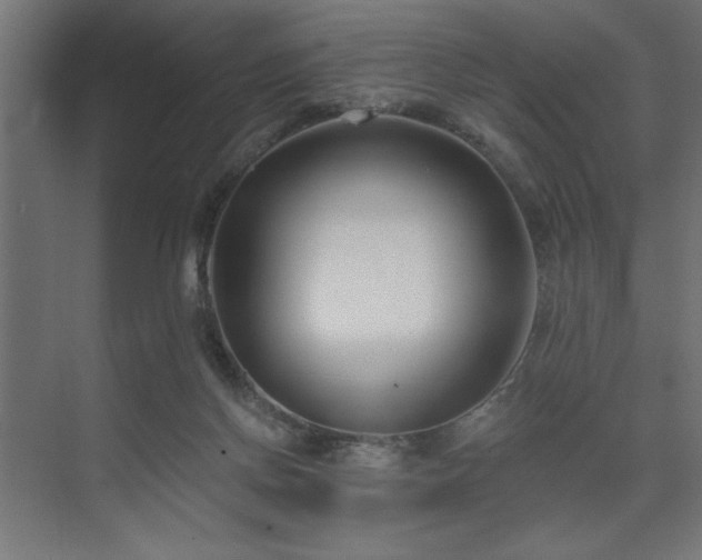 X0000074260166200608251235