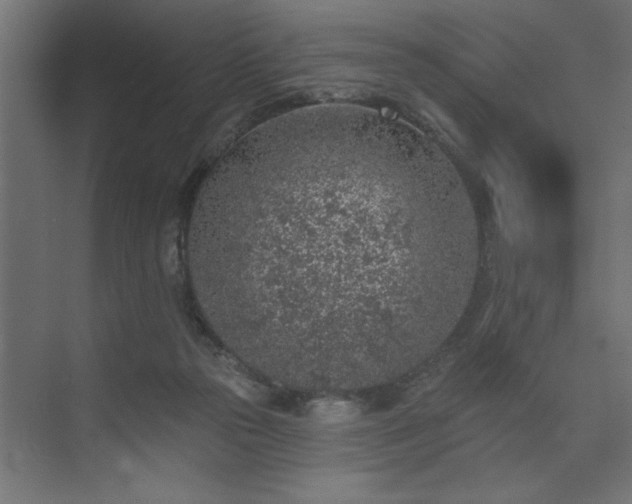 X0000074260169200608251235