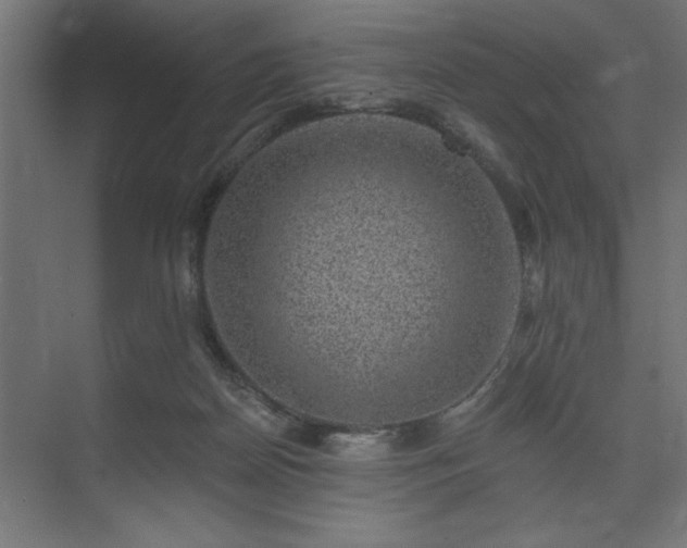 X0000074260170200608251235