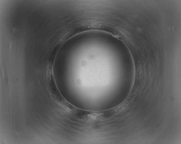 X0000074260172200608251235