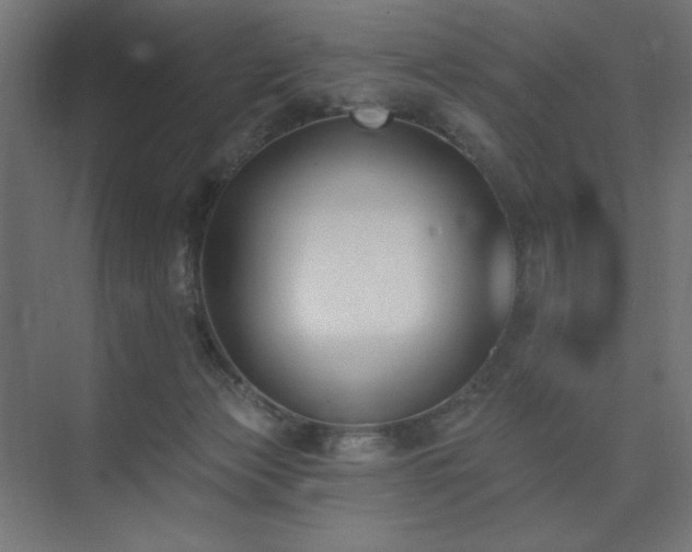 X0000074260173200608251235