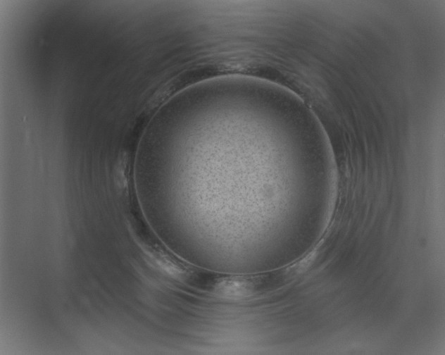 X0000074260174200608251235