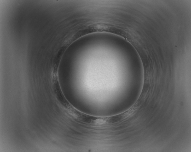 X0000074260176200608251235