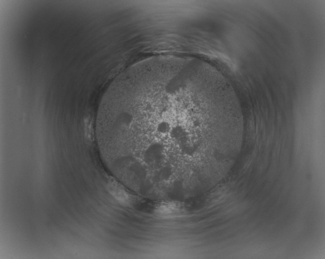 X0000074260177200608251235