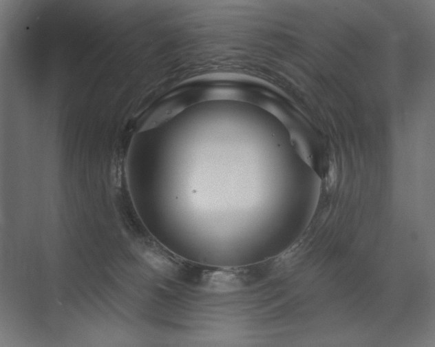 X0000074260180200608251235