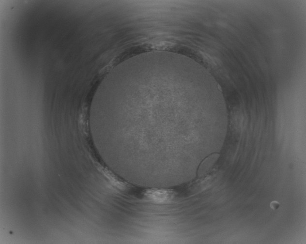 X0000074260181200608251236