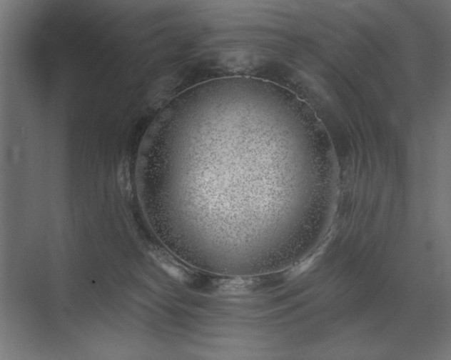 X0000074260182200608251236