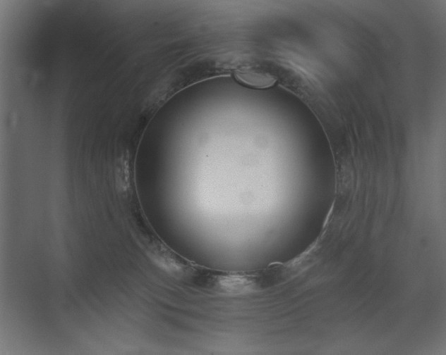 X0000074260183200608251236