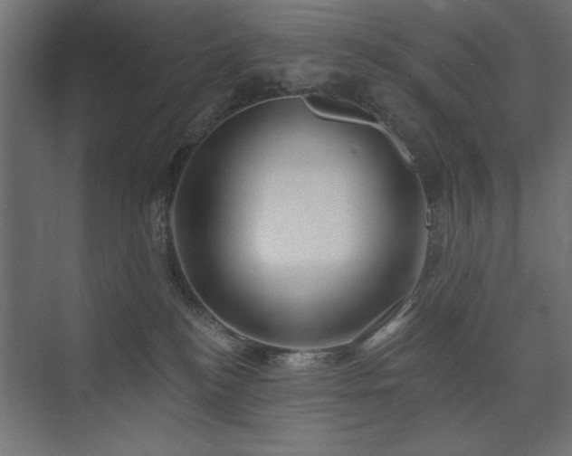 X0000074260184200608251236