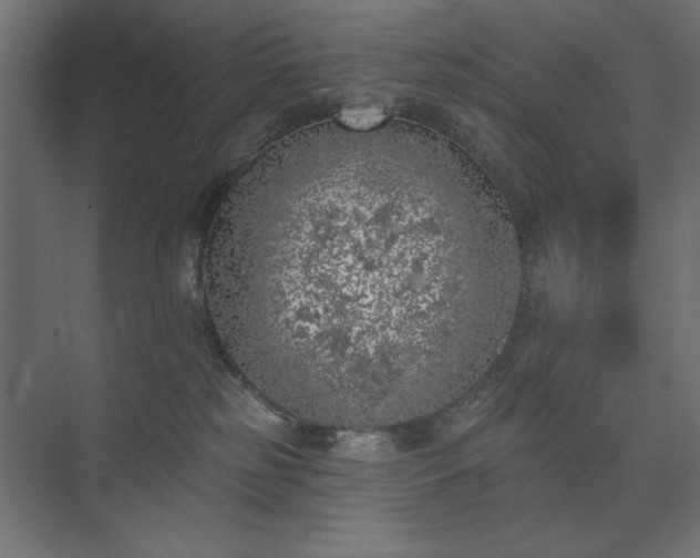 X0000074260185200608251236