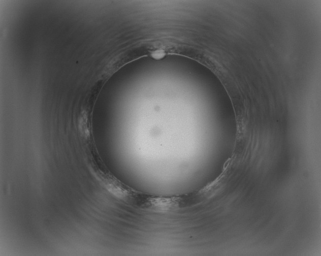 X0000074260187200608251236