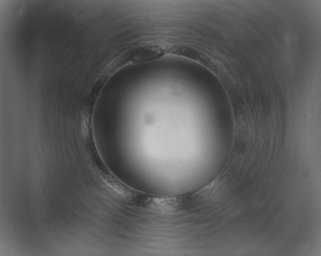 X0000074260188200608251236