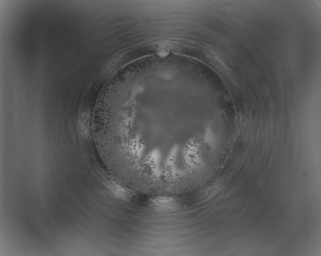 X0000074260189200608251236