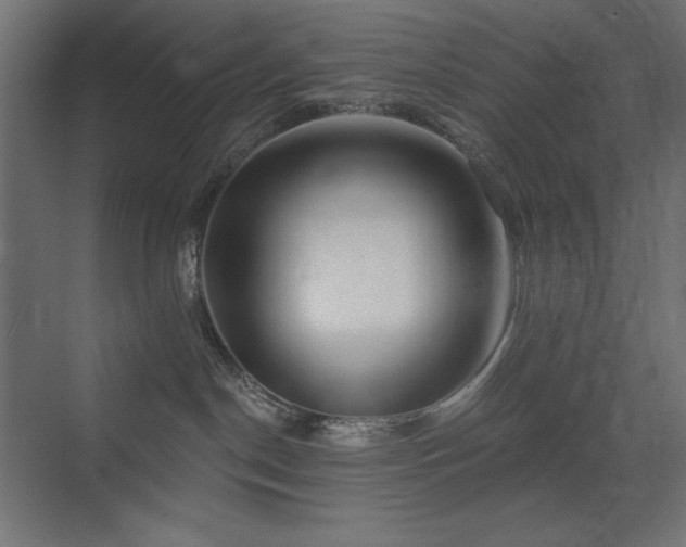 X0000074260190200608251236