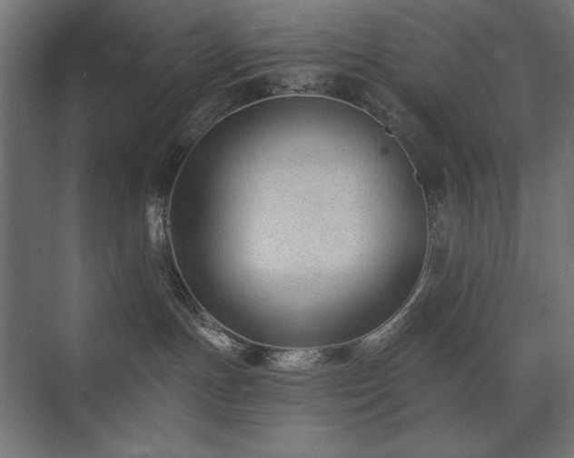 X0000074260191200608251236