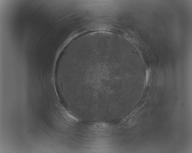 X0000074260195200608251235