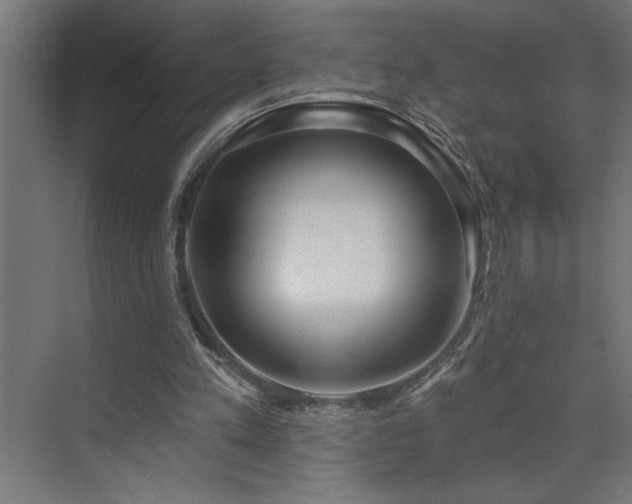 X0000074260197200608251235